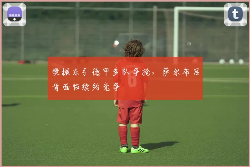 樊振东引德甲多队争抢，萨尔布吕肯面临续约竞争