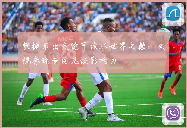 樊振东出走德甲试水世界之巅，央视春晚专访见证影响力