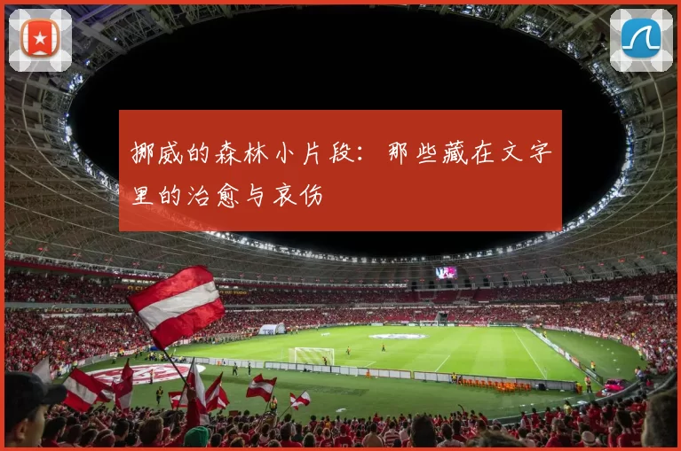 挪威的森林小片段：那些藏在文字里的治愈与哀伤