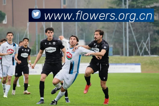 数据防护可视化